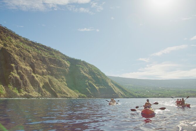 Morning Magic Kayak and Snorkel Adventure in Kealakekua Bay - Stop 2: The Captain Cook Monument