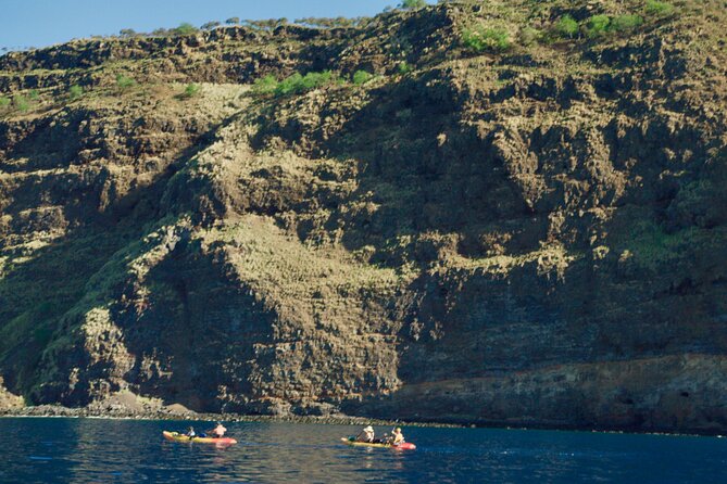 Morning Magic Kayak and Snorkel Adventure in Kealakekua Bay - The morning plan: how the 5 hours actually feel