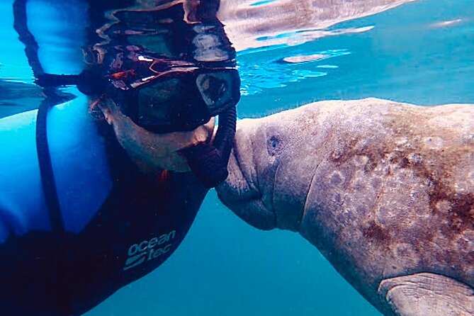 Morning Swim and Snorkel with Manatees-Guided Crystal River Tour - Three Sisters Springs and Kings Bay Park: Where Manatees Often Steal the Show