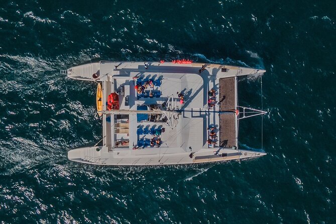 Multimillion Yacht Cabo Cruise Sunset or Snorkel Optional PICKUP! - Whales, fish, and reef life: how to think about wildlife on this cruise
