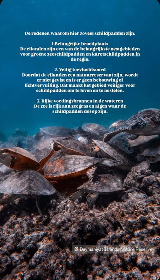 Muscat: Daymaniat Islands Snorkeling Tour with Refreshments - Daymaniyat Islands: A protected turtle-and-coral world by Muscat