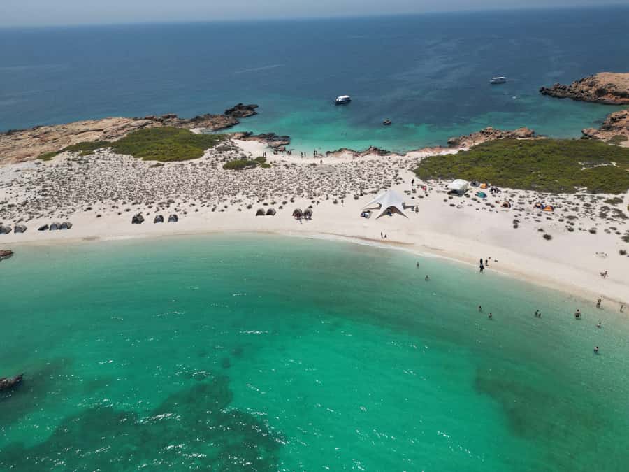 Muscat: Daymaniat Islands Snorkeling Trip with Brunch - Snorkel stops where turtles and reef life actually show up