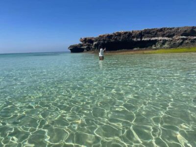 Muscat: Daymaniat Islands Snorkeling Trip with Brunch - Getting from Muscat to the Gulf’s protected turtle country