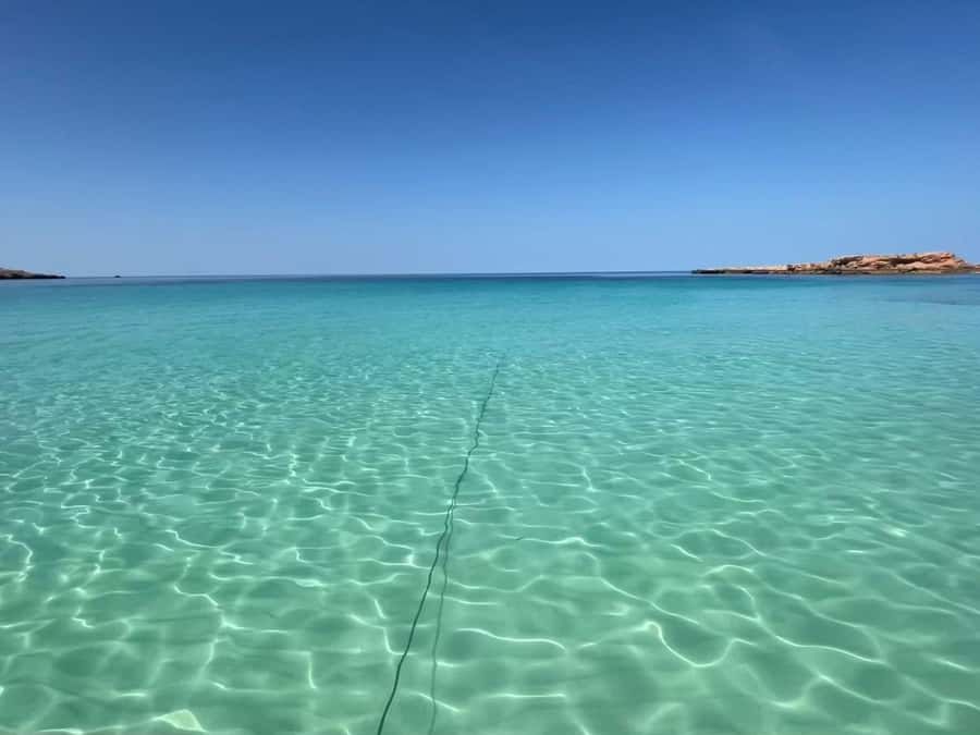 Muscat: Daymaniat Islands Snorkeling Trip with Brunch - Price and value: is $86 a fair trade for turtles and corals?