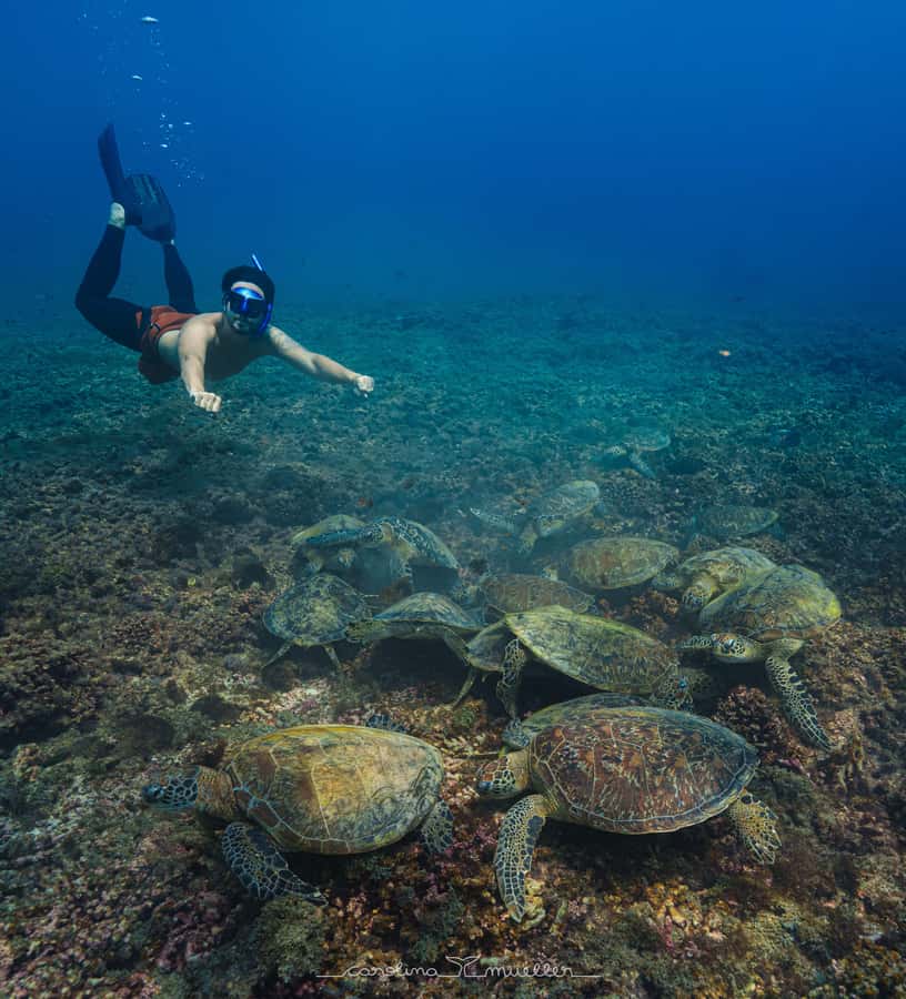 Muscat: Daymaniyat Islands Snorkeling Trip with BBQ Lunch - Daymaniyat Islands: why this Muscat snorkeling trip is worth your time