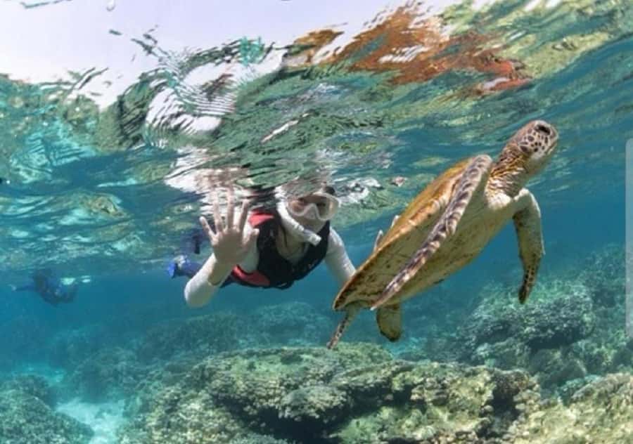 Muscat: Daymaniyat Islands Snorkeling Trip with BBQ Lunch - The catamaran ride: comfort that makes snorkel time easier