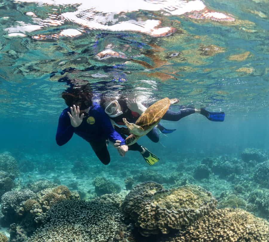 Muscat: Daymaniyat Islands Snorkeling Trip with BBQ Lunch - Two snorkeling sites at Daymaniyat: what you’ll actually look for