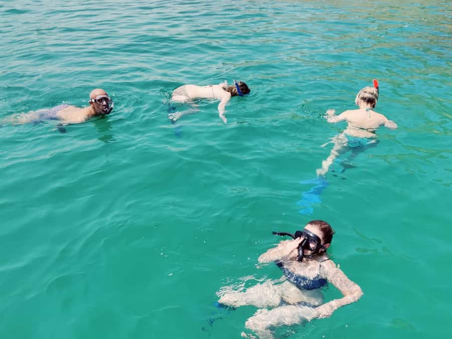 Muscat: Dolphin Watch & Snorkel Excursion - The handoff: switching from wildlife spotting to snorkeling in clear water