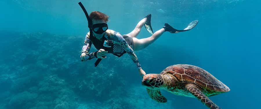 Muscat: Dolphin Watching and Snorkeling Tour - Who this tour suits best
