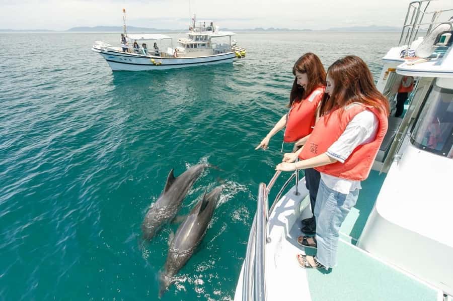 Muscat: Dolphin Watching and Snorkeling Tour - From Muscat pickup to the boat: the pacing that matters
