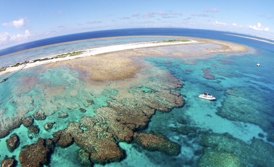 Naha, Okinawa: Keramas Island Snorkeling Day Trip with Lunch - Key things I’d clock before you go