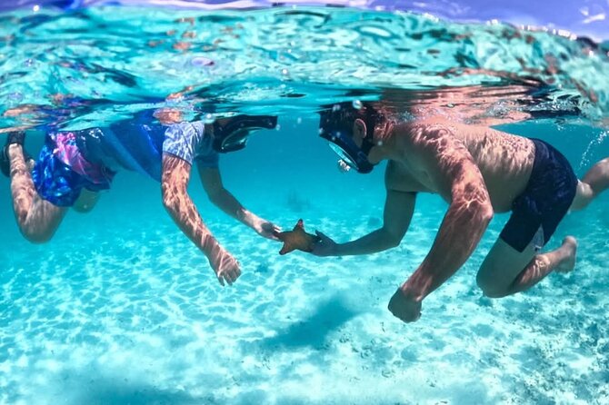 Nassau: 3 islands Pigs,Turtles,Snorkel & Beach Club with lunch - Why This Nassau Four-Island Tour Feels Like a Best-Of Sampler
