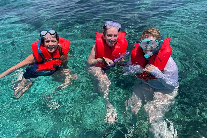 Nassau: 3 islands Pigs,Turtles,Snorkel & Beach Club with lunch - Stop 2: Swimming Pigs on Athol Island (Yes, You Really Swim With Them)