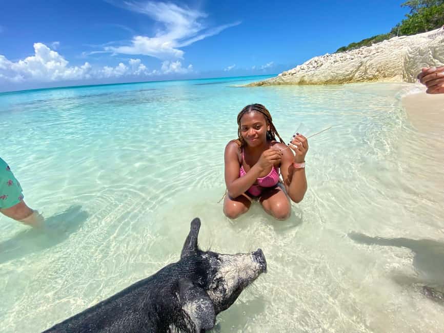 Nassau: 3 Islands Tour, Snorkel, Pig Beach, Turtles & Lunch - Key Things I’d Put on Your Checklist
