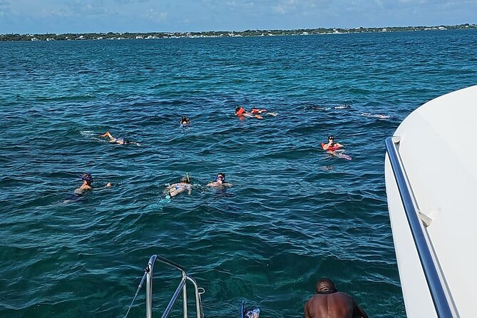 Nassau 3-stops: Snorkeling, Swimming Pigs, Turtles & Lunch - Price and value: is $168 a fair deal?
