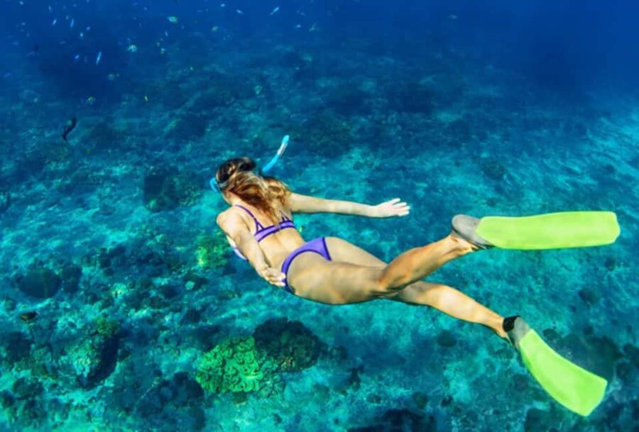 Nassau: Catamaran Sail and Snorkel Tour - Snorkeling on Athol or Spruce Cay: what you should expect in the water
