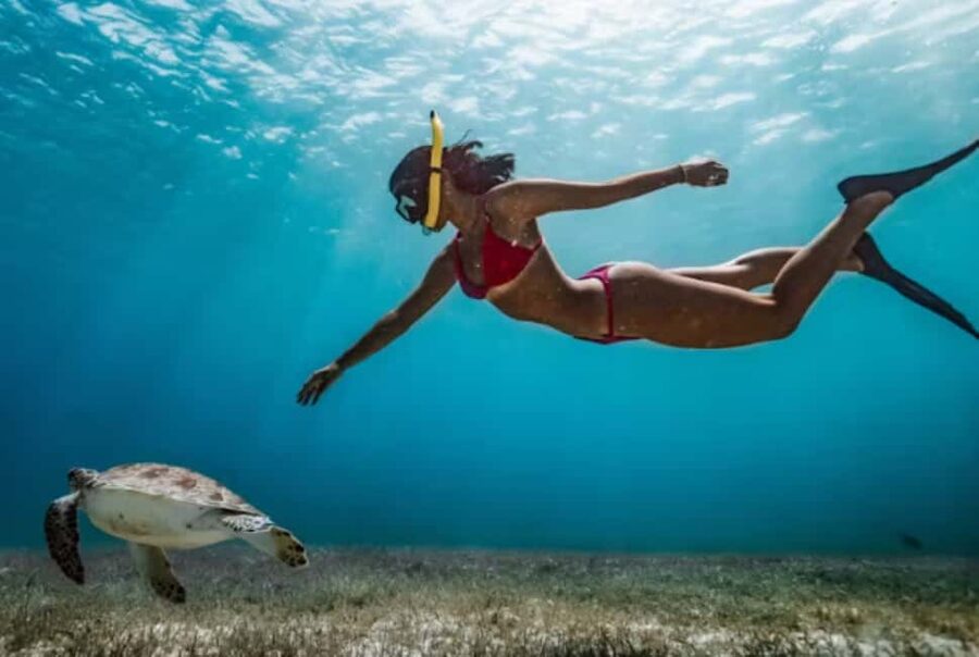 Nassau: Catamaran Sail and Snorkel Tour - Value check: $103 for a full activity day (what’s included and what isn’t)