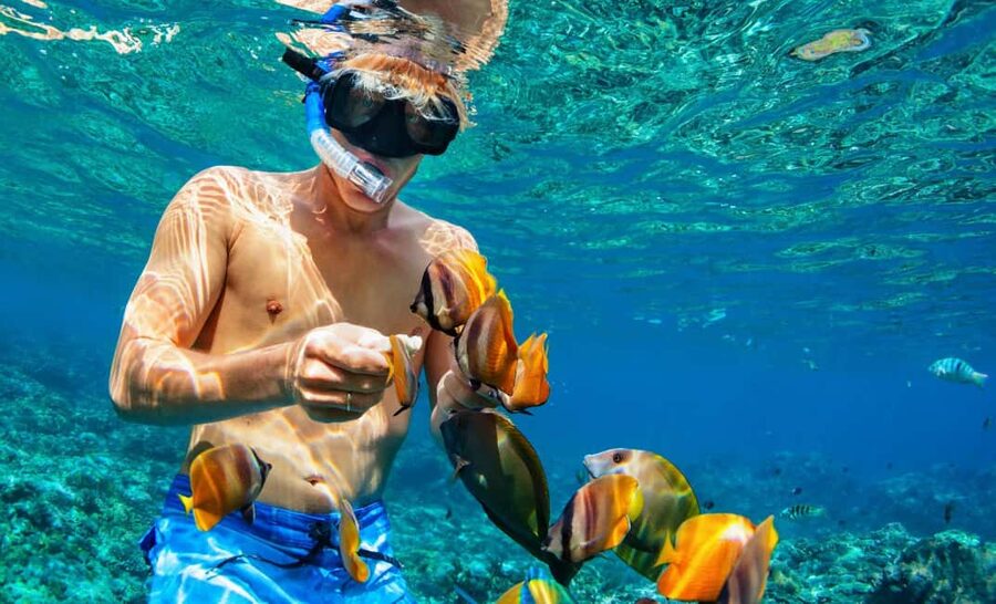 Nassau: Catamaran Sail and Snorkel Tour - Who this tour fits best (and who might want a different option)