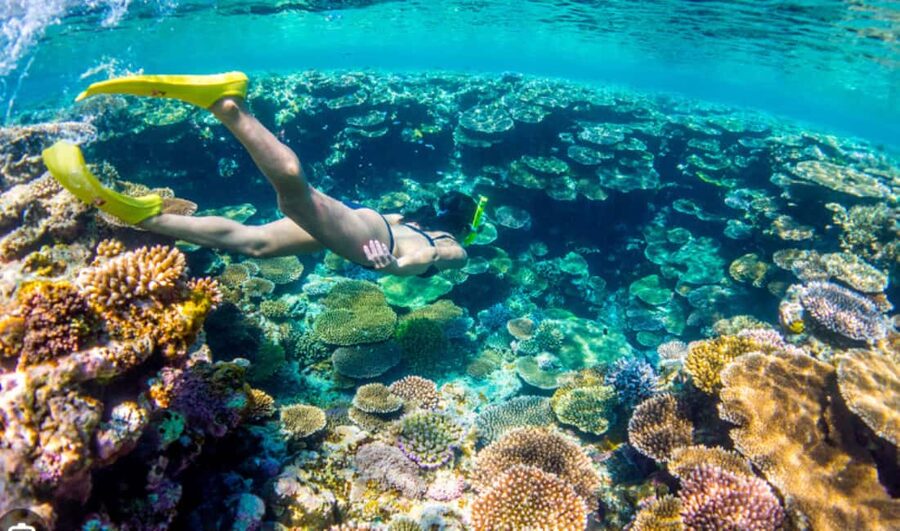 Nassau: Catamaran Sail and Snorkel Tour - Should you book the Nassau Catamaran Sail and Snorkel Tour?