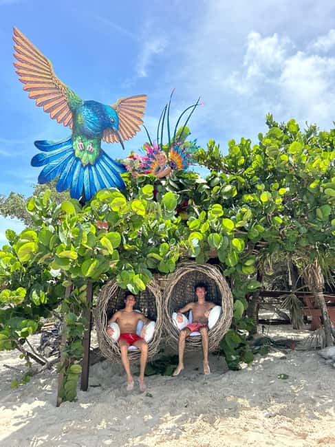Nassau: Pigs, Snorkel, Turtles, Lunch, Private Beach Club - Should you book this Nassau pigs, snorkeling, and turtles tour?