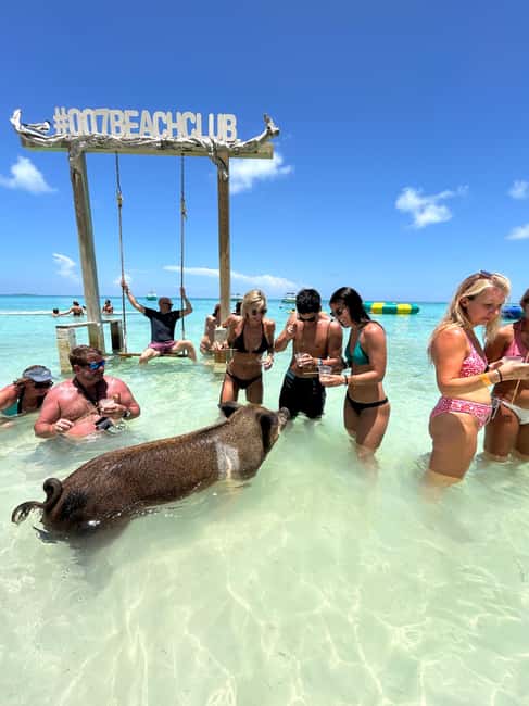 Nassau: Pigs, Snorkel, Turtles, Lunch, Private Beach Club - Reef snorkeling between Pearl and Rose Islands (what you’ll actually do)