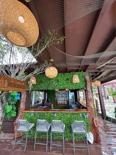 Nassau: Pigs, Snorkel, Turtles, Lunch, Private Beach Club - Who should book this tour (and who should skip it)