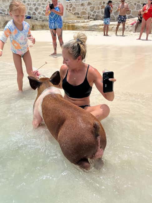 Nassau: Pigs, Snorkel, Turtles, Lunch, Private Beach Club - Why a powerboat works for Nassau island time