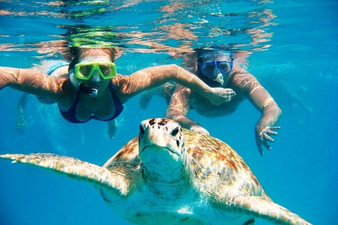 Nassau: Private Island & Snorkeling, Turtles, Drinks, & BBQ - Key highlights you’ll care about