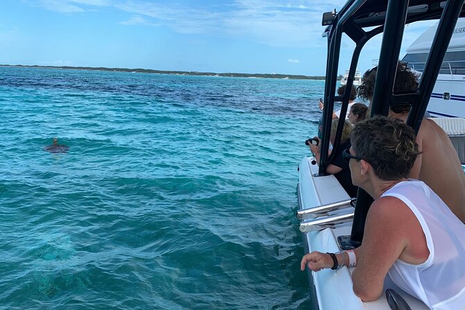 Nassau: Private Island & Snorkeling, Turtles, Drinks, & BBQ - Why this Nassau private island day feels different