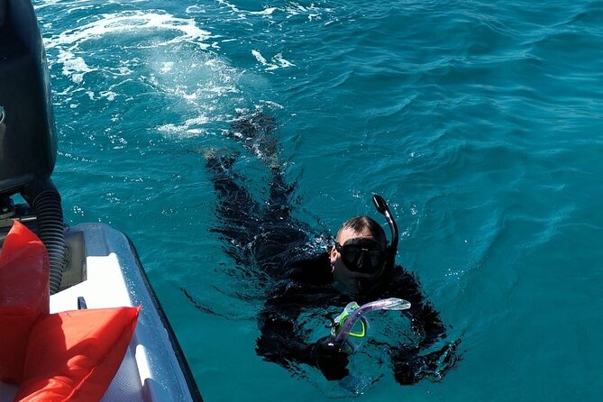 Nassau: Private Island & Snorkeling, Turtles, Drinks, & BBQ - Pearl Island reef snorkeling: short swim, clear structure