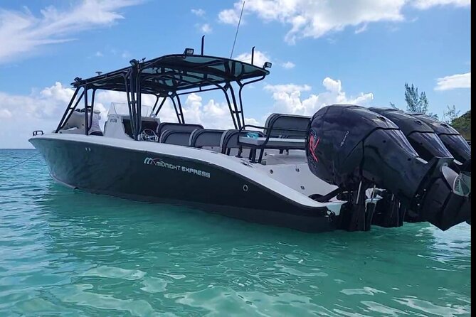 Nassau: Private Island & Snorkeling, Turtles, Drinks, & BBQ - Who should book this tour, and who should skip it