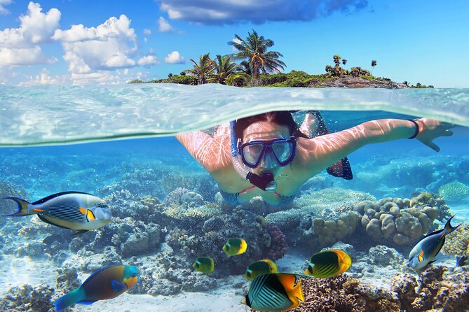 Nassau: Private Island & Snorkeling, Turtles, Drinks, & BBQ - The 40ft speedboat and harbor cruise: fun speed with real local context