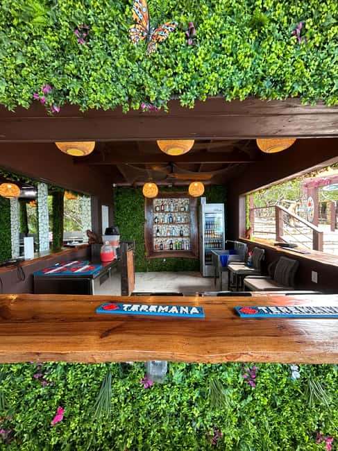 Nassau: Reef Snorkeling, Turtles, Lunch & Private Beach Club - Quick hits before you go
