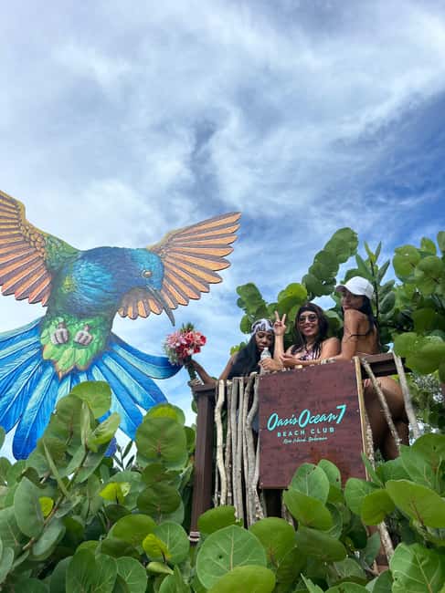 Nassau: Reef Snorkeling, Turtles, Lunch & Private Beach Club - Oasis Ocean 7 Private Beach Club on Rose Island: the real reason to book