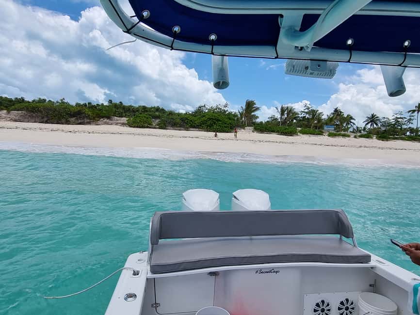 Nassau: Rose Island Swimming Pigs & Turtles Snorkeling Tour - From Paradise Island to Green Cay: your ride on a 35 Donzi