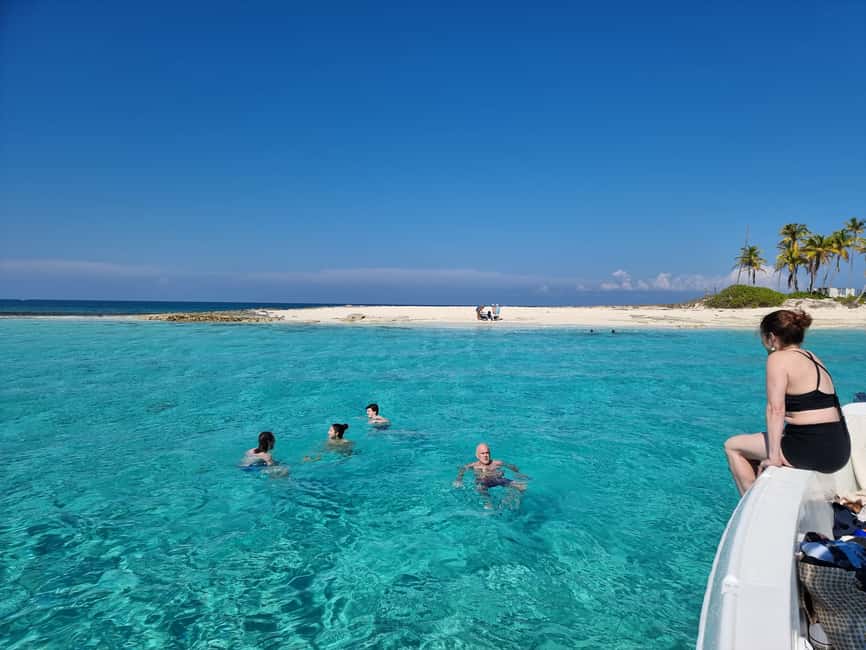 Nassau: Rose Island Swimming Pigs & Turtles Snorkeling Tour - Timing, group size, and the weather reality check