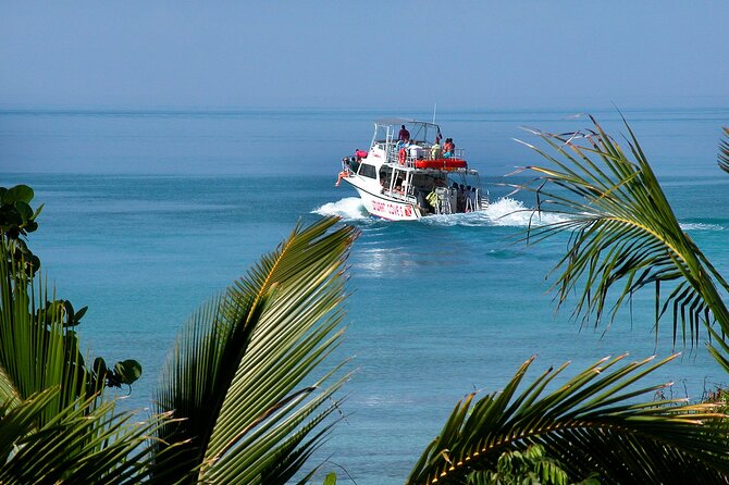 Nassau Shore Excursion: Bahamas Snorkel Adventure - Who Should Book This, and Who Might Be Happier Elsewhere