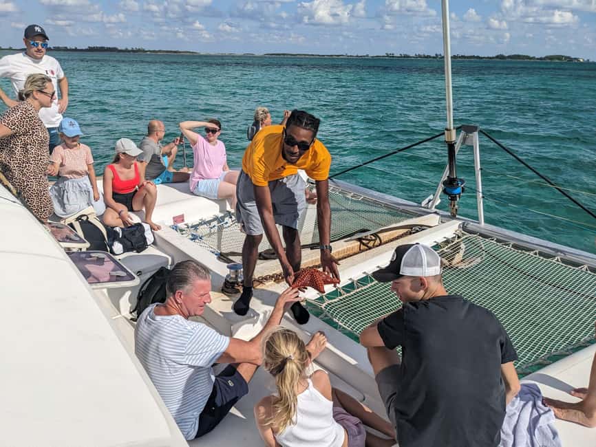 Nassau: Snorkeling, Pig Beach, Swim with Turtles, and Lunch - Key highlights worth getting excited about