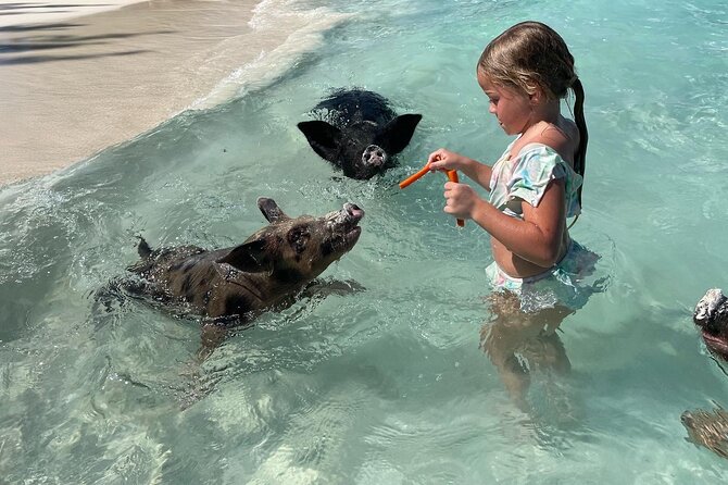 Nassau: Swimming Pigs And Snorkel With Turtles - Green Cay Snorkeling: Calm Water, Sea Turtles, and Simple Rules That Work