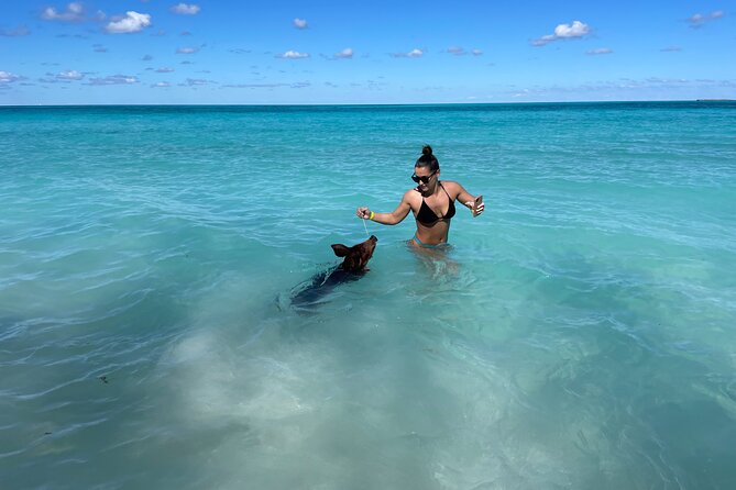 Nassau: Swimming Pigs And Snorkel With Turtles - Dolphins-Style Energy On Board: Snacks, Drinks, Music, and Restroom Convenience
