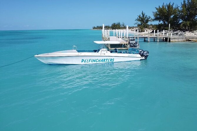 Nassau: Swimming Pigs And Snorkel With Turtles - Who This Tour Is Best For (And Who Might Want a Different Plan)