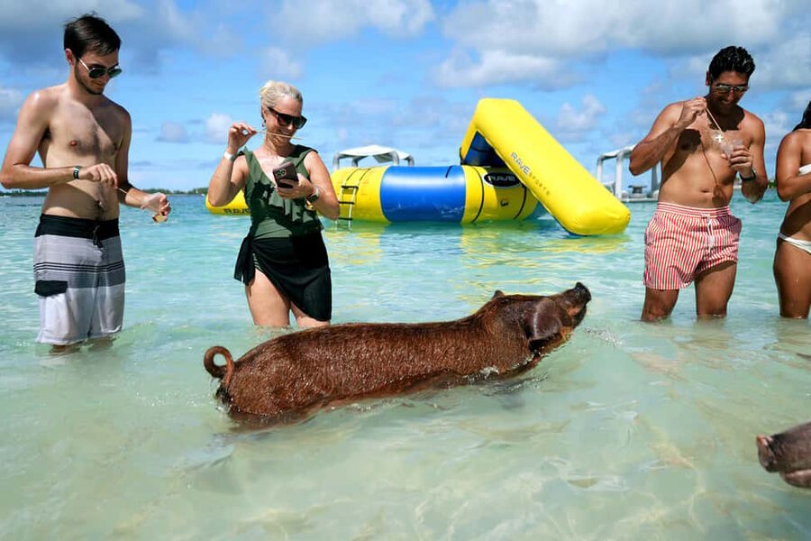 Nassau: Swimming Pigs, Snorkeling, Lunch, & Beach Boat Tour - Nassau by speedboat: how this 4-hour day actually works