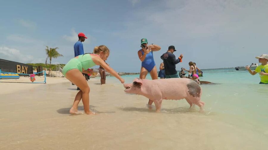 Nassau: Swimming Pigs, Snorkeling, Lunch, & Beach Boat Tour - Photos and free take-home memories: the upgrade you’ll appreciate