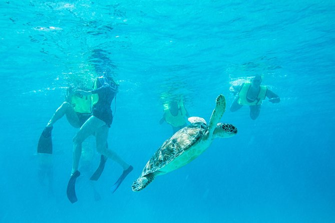 National Park Snorkeling Excursion - Key points that matter