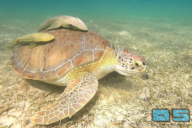 National Park Snorkeling Excursion - The two snorkeling stops in Virgin Islands National Park