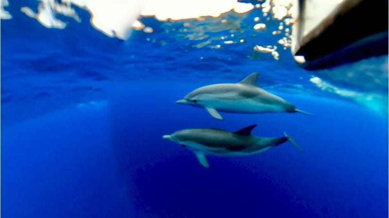Naxos: Taormina Boat Tour with Snorkeling and Prosecco - Sea-cave photo stops: Grotta dell’Amore, Grotta Azzurra, and the Blue Grotto area