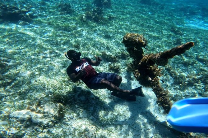 Negril Glass Bottom Boat Tour Snorkeling and Booby Cay - Key things you’ll notice on this tour