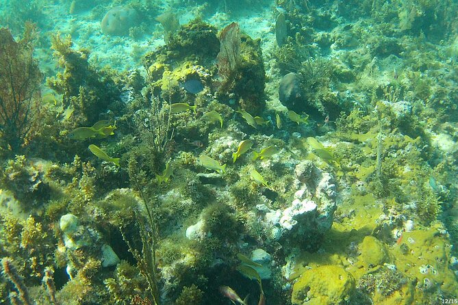 Negril Glass Bottom Boat Tour Snorkeling and Booby Cay - Booby Cay Island: the hour of beach break and lunch shopping