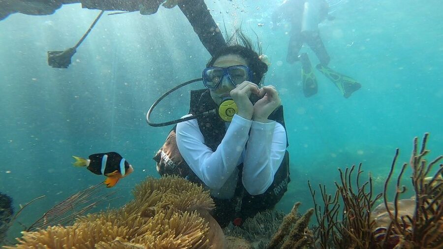 Nha Trang: Coral Reef Snorkeling and Floating Bar Party - Hon Tam and the coral time: snorkeling expectations you can work with