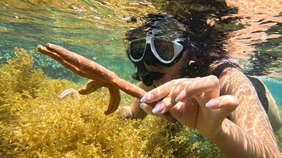 Nha Trang: Half-Day Snorkeling Adventure with BBQ Onboard - Nha Trang Bay on a Tiki-Style Boat: What Makes It Fun